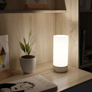 Lampade da Tavolo e da Terra