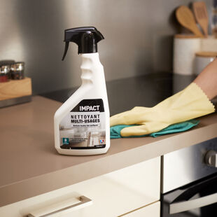 Prodotti per la Pulizia