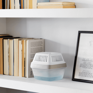 Assorbiumidità e Assorbiodore