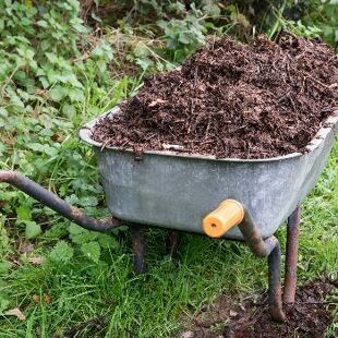 Terricci per Piante, Ammendanti e Ciottoli per il Giardino