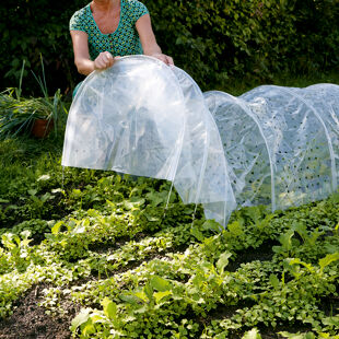 Serre e Protezione Piante
