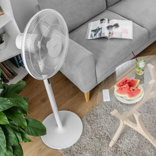 Ventilatori da terra