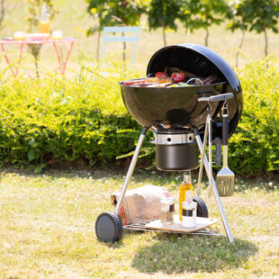 Barbecue Elettrico - Bbq da tavolo - Offerte AgriEuro 2024