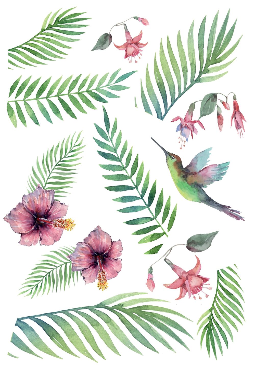 STICKER MURO TROPICAL COLIBRI' L 47.5X67 - Bricocenter