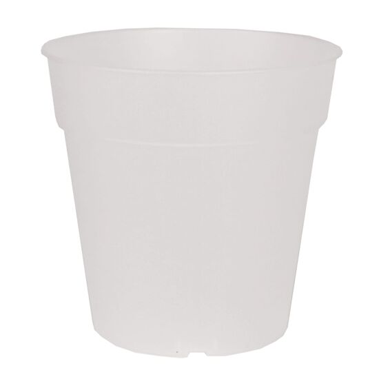 vaso orchidea cm 12,7 h 15 trasparente