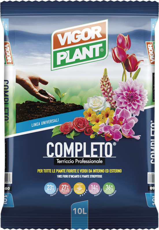 TERRICCIO UNIVERSALE LT. 20 GEOVITAL SERVICE CF 1
