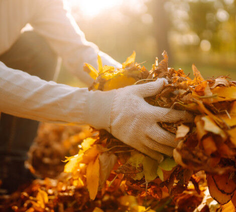 come raccogliere le foglie in giardino - Bricocenter
