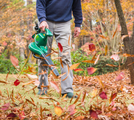 come raccogliere le foglie in giardino - Bricocenter