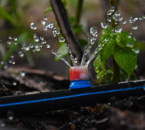 impianto irrigazione a goccia