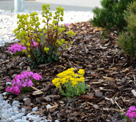 Pietre bianche da giardino: guida all'acquisto - Bricocenter