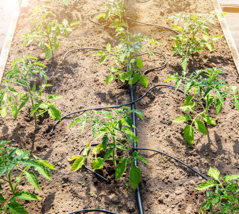 impianto a goccia - Bricocenter