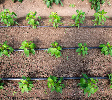impianto a goccia - Bricocenter