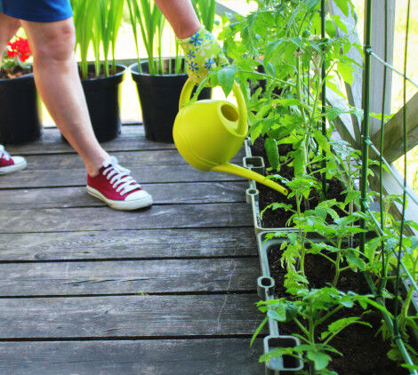 orto sul balcone Bricocenter